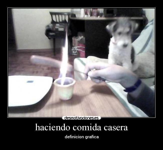 haciendo comida casera - 