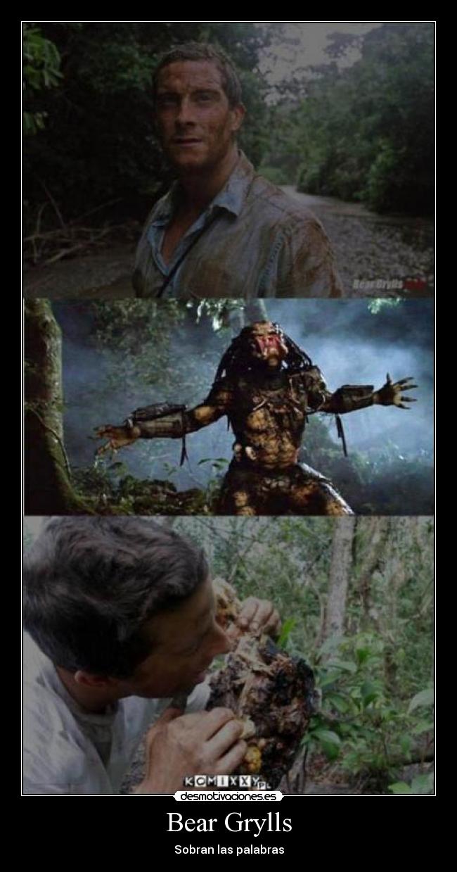 Bear Grylls -