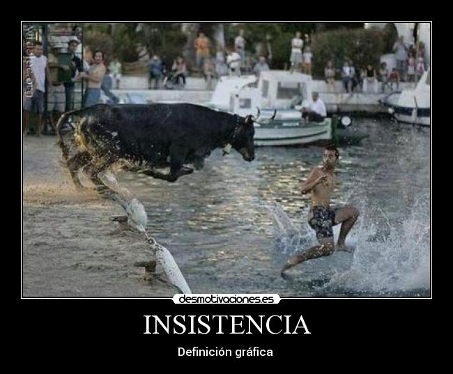 INSISTENCIA - 