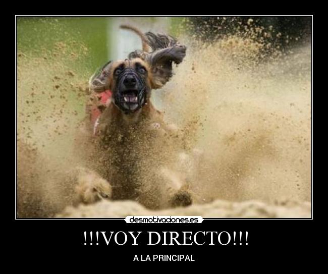 !!!VOY DIRECTO!!! -