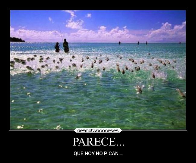 PARECE... - 