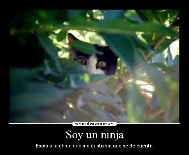 carteles soy ninja desmotivaciones