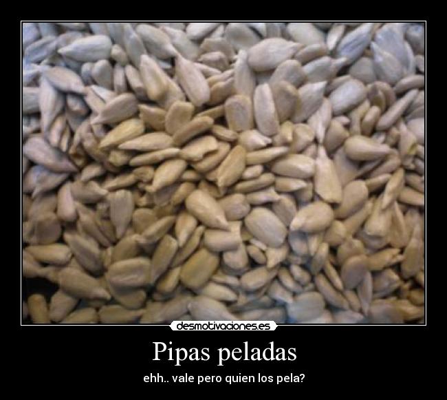 carteles pipas desmotivaciones