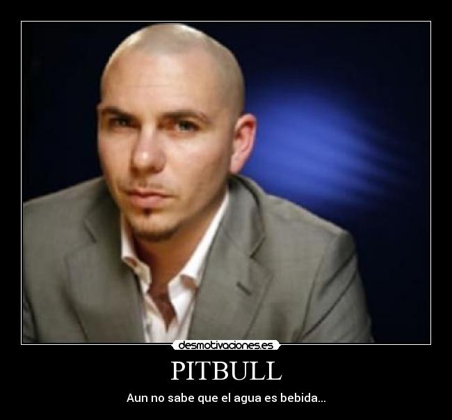 PITBULL - 