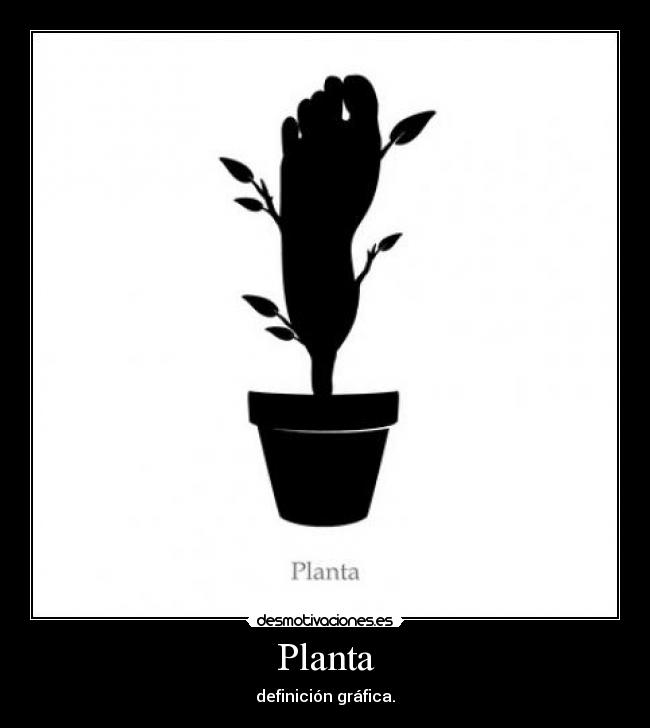 Planta -