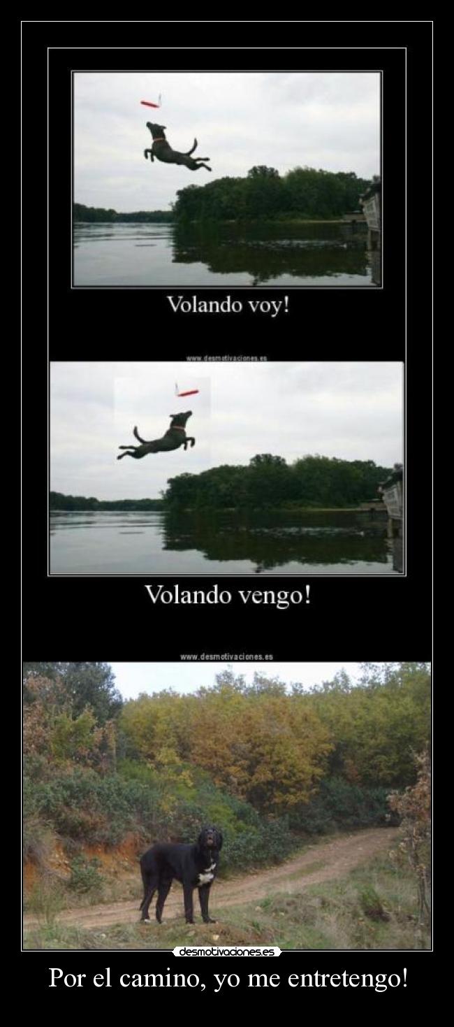 Por el camino, yo me entretengo! - 
