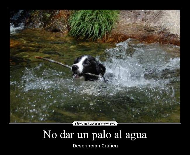 No dar un palo al agua -
