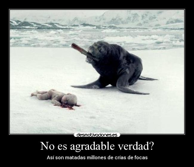 No es agradable verdad? -