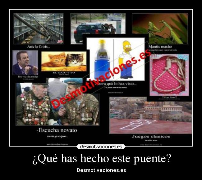 ¿Qué has hecho este puente? -