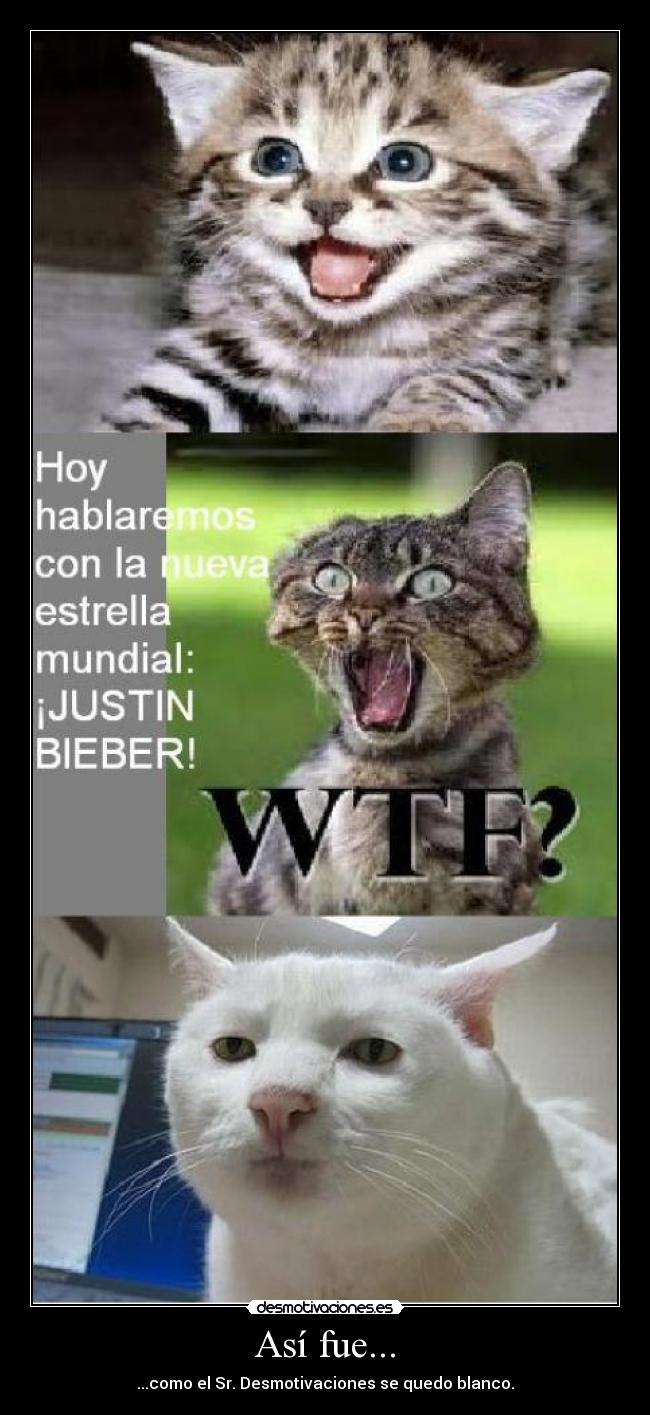 Así fue... - ...como el Sr. Desmotivaciones se quedo blanco.