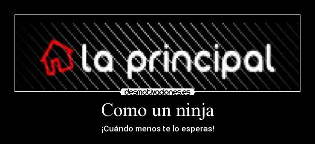 Como un ninja - ¡Cuándo menos te lo esperas!