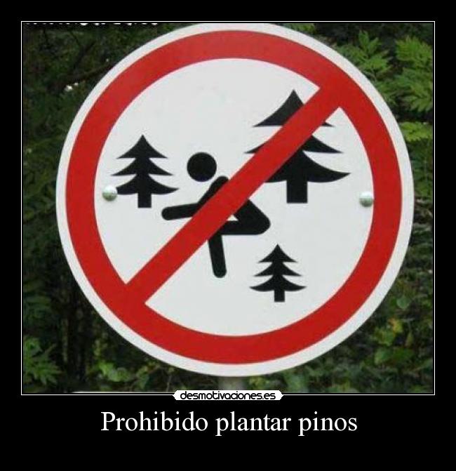 Prohibido plantar pinos -