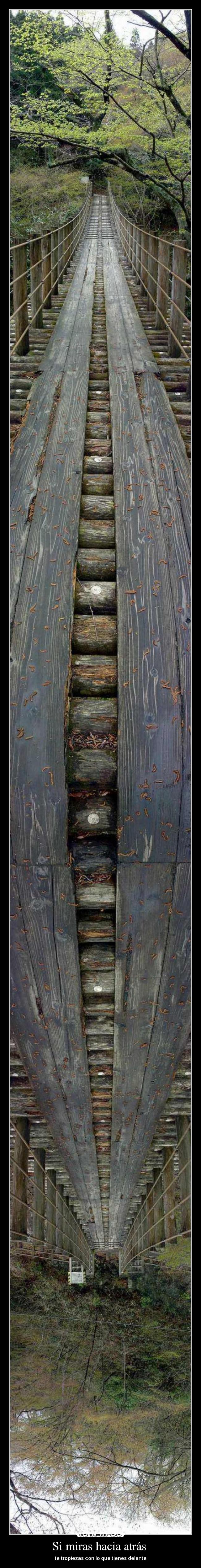 carteles miras hacia atras tropiezas con que tienes delante desmotivaciones