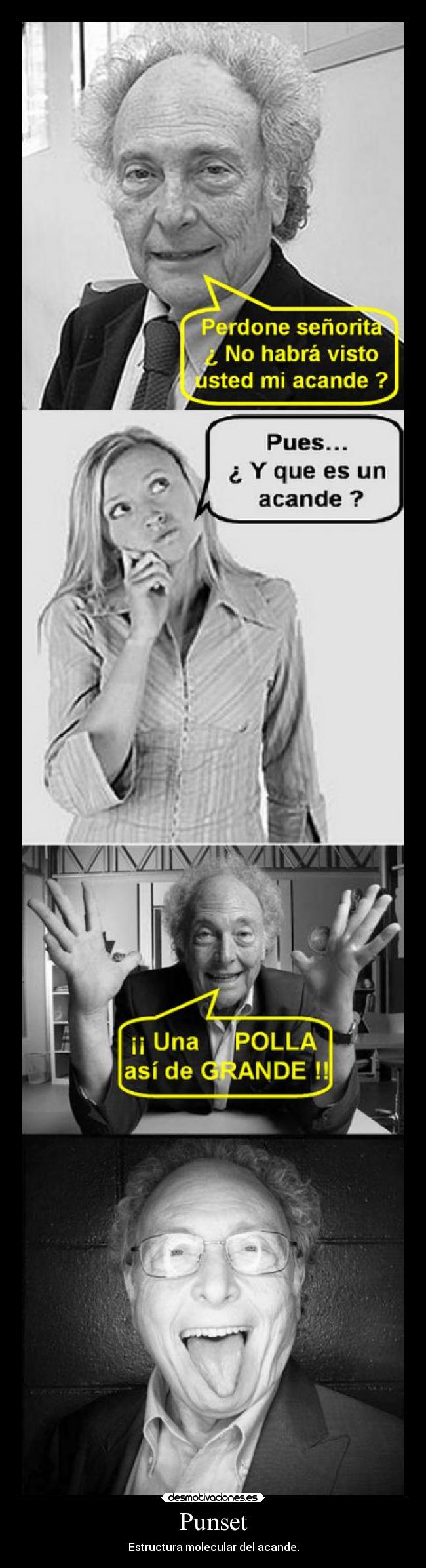 Punset - Estructura molecular del acande.