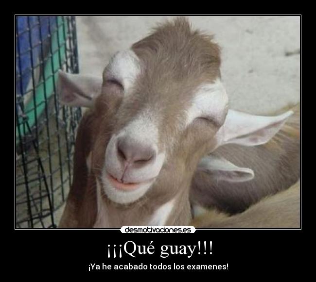 ¡¡¡Qué guay!!! - 