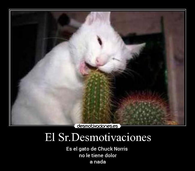El Sr.Desmotivaciones - 