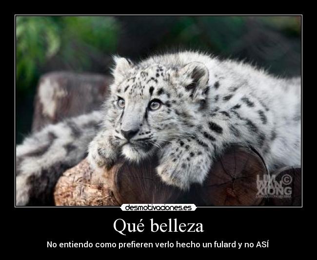 Qué belleza -