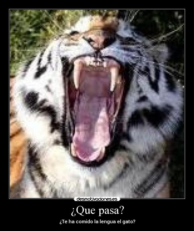 ¿Que pasa? - 