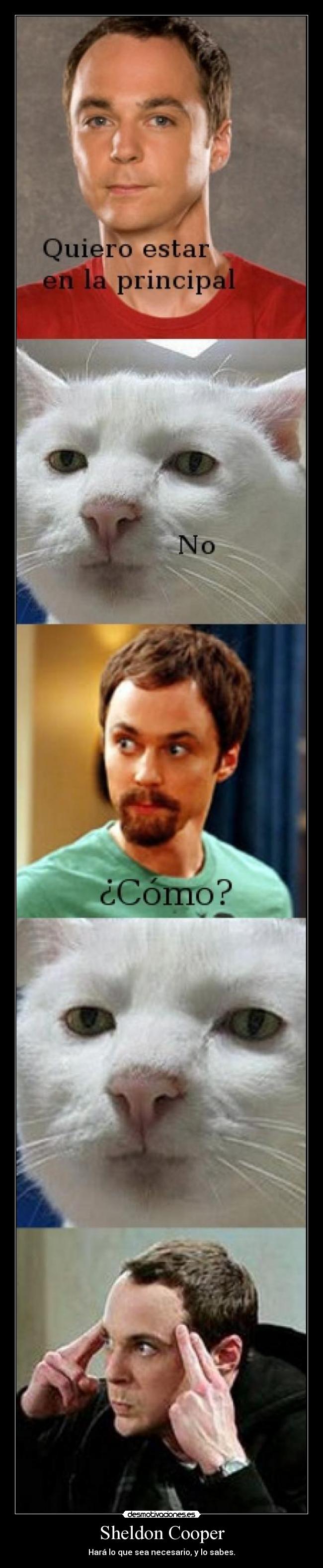 Sheldon Cooper - 