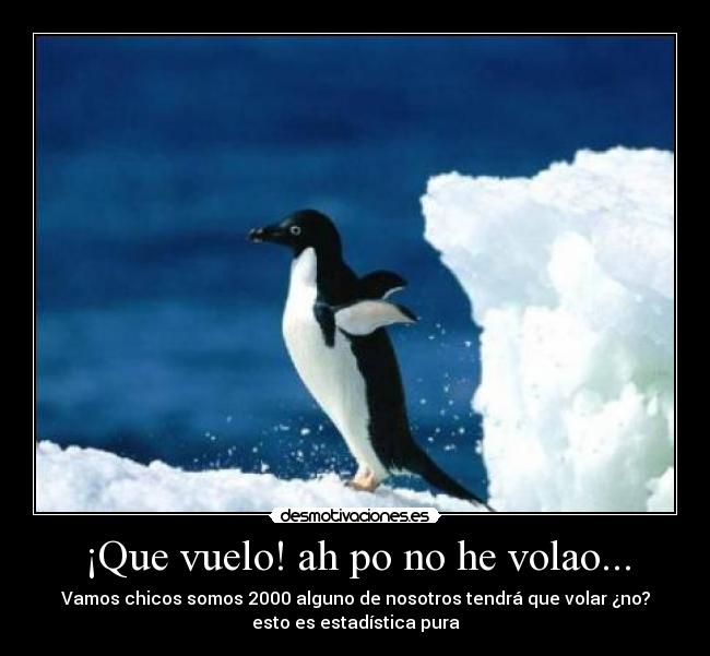 ¡Que vuelo! ah po no he volao... -