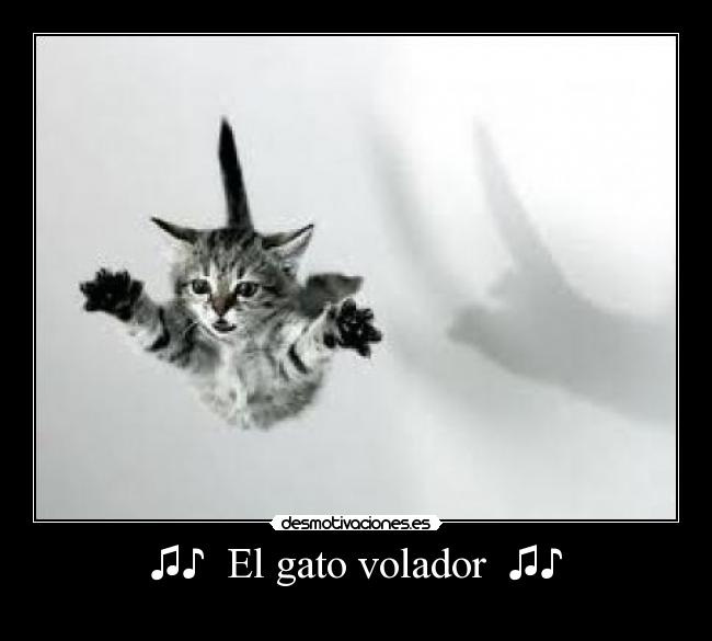 ♫♪ El gato volador ♫♪ -