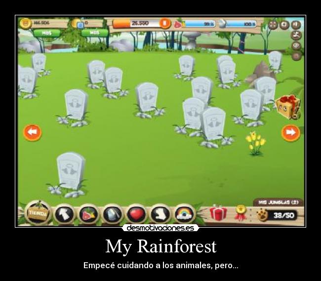 My Rainforest -