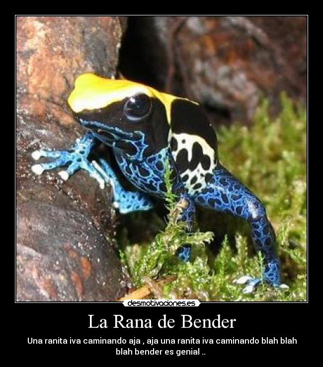 La Rana de Bender - 