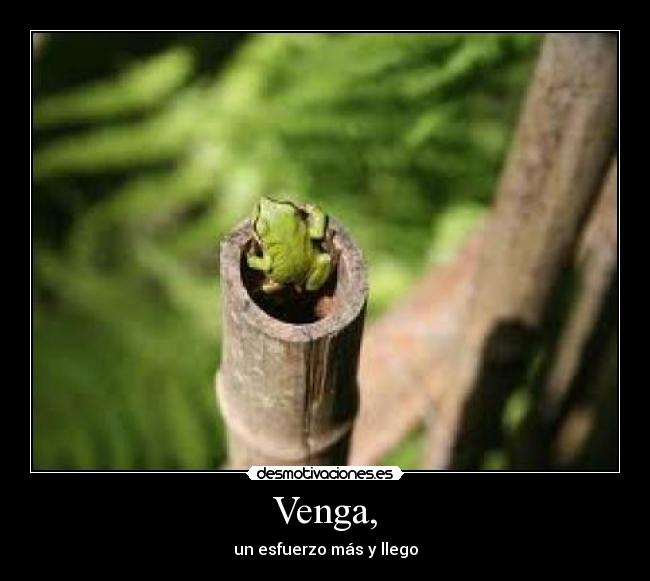 Venga, - 