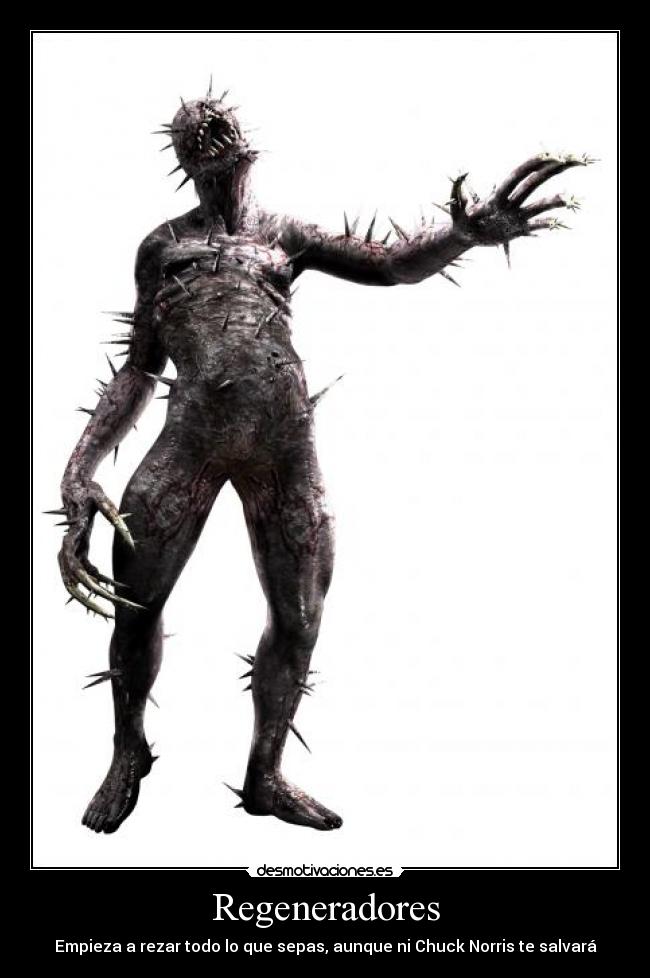 Regeneradores - 