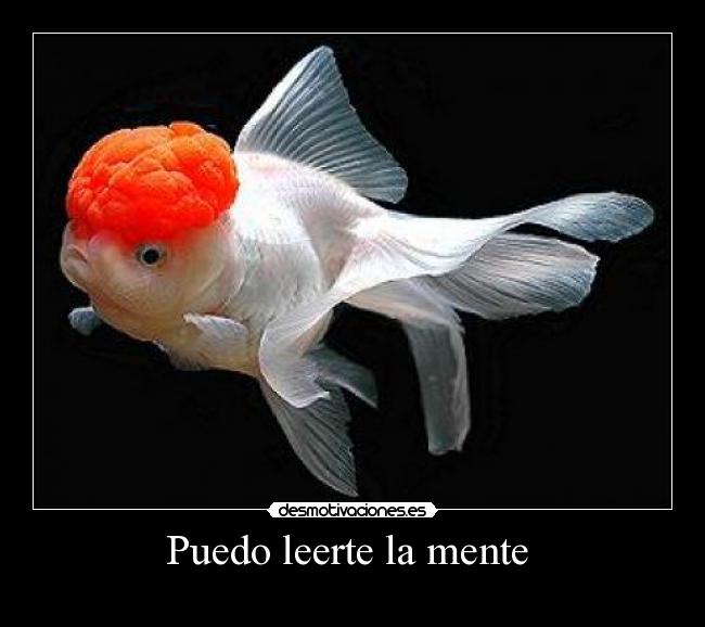 Puedo leerte la mente -