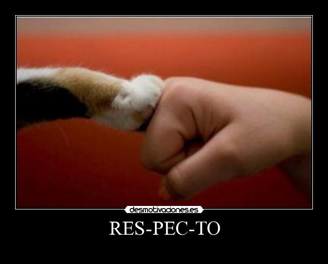 RES-PEC-TO - 
