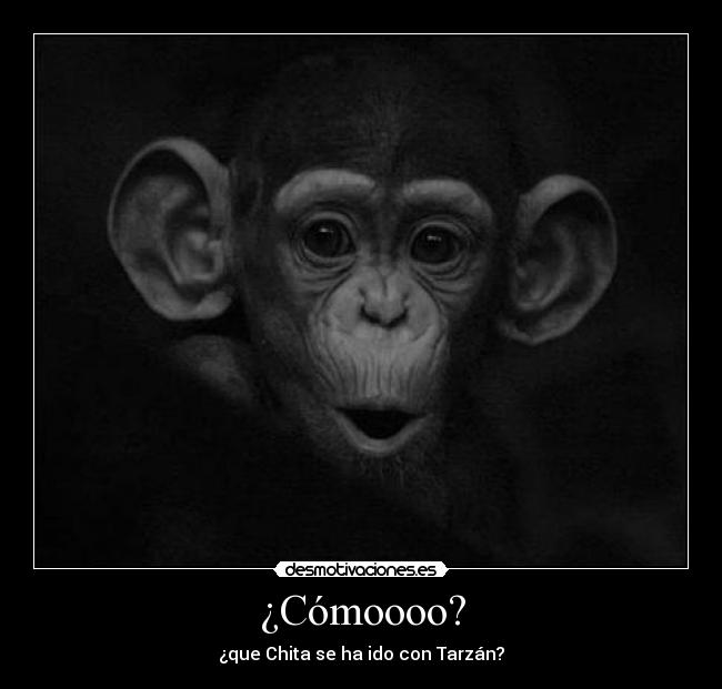 ¿Cómoooo? - 