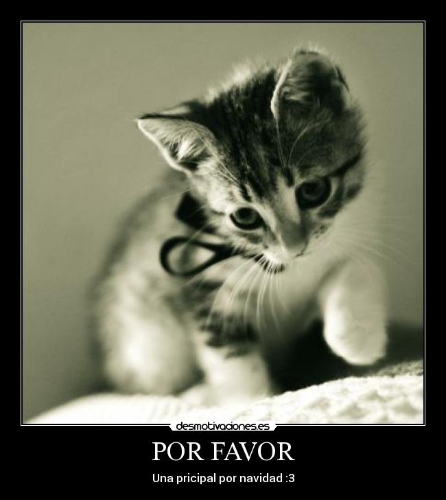 POR FAVOR -
