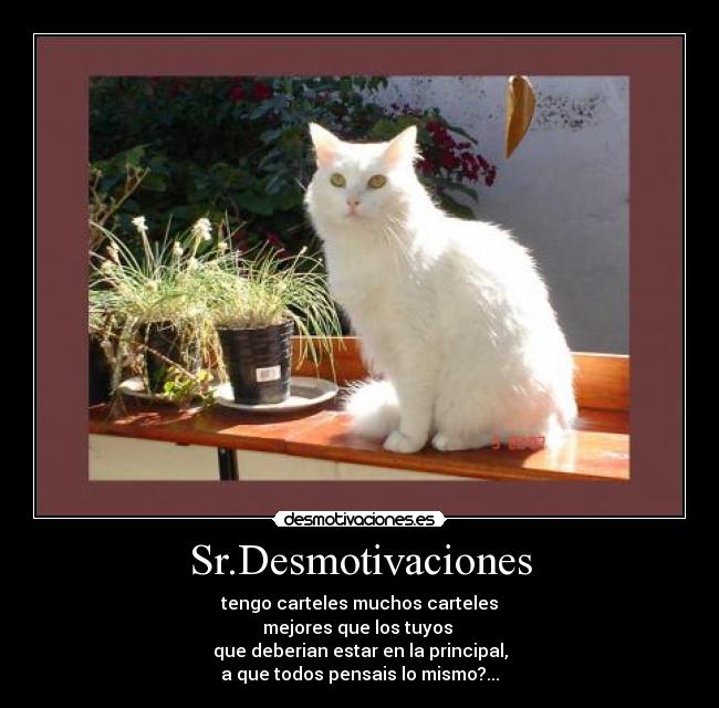 Sr.Desmotivaciones -