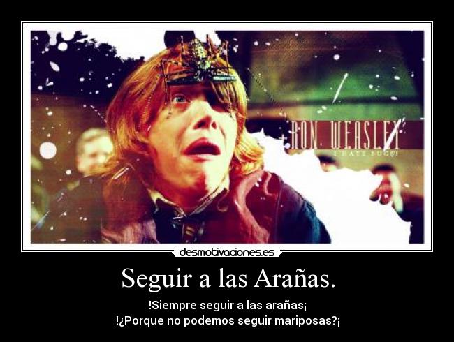 Seguir a las Arañas. -