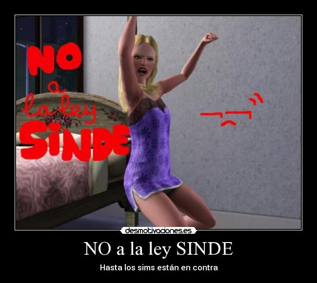 NO a la ley SINDE - 