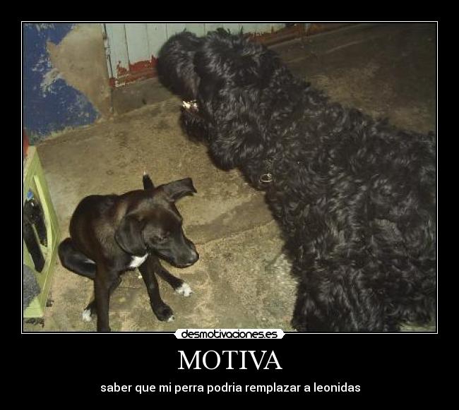 MOTIVA - 