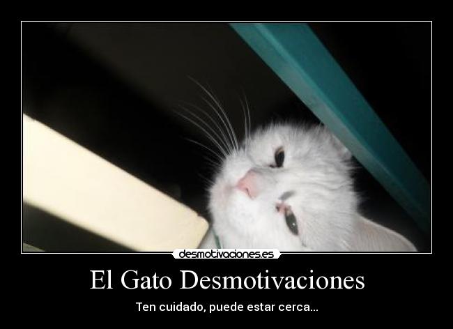 El Gato Desmotivaciones - Ten cuidado, puede estar cerca...