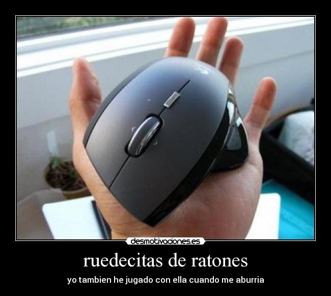 ruedecitas de ratones - yo tambien he jugado con ella cuando me aburria