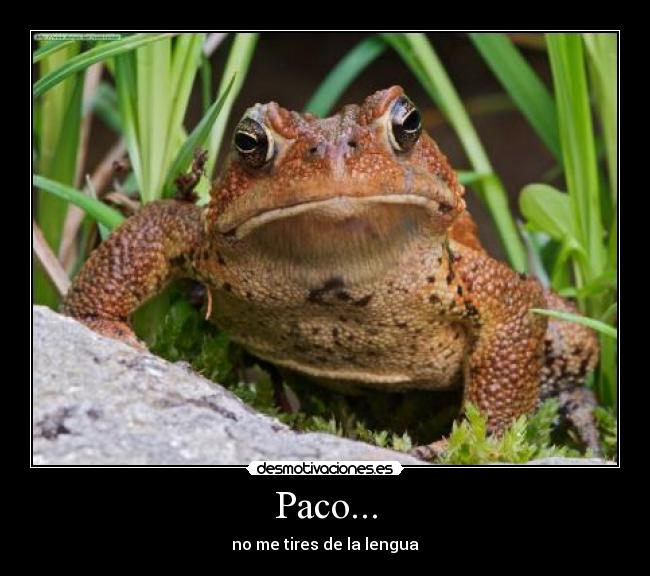 Paco... - no me tires de la lengua