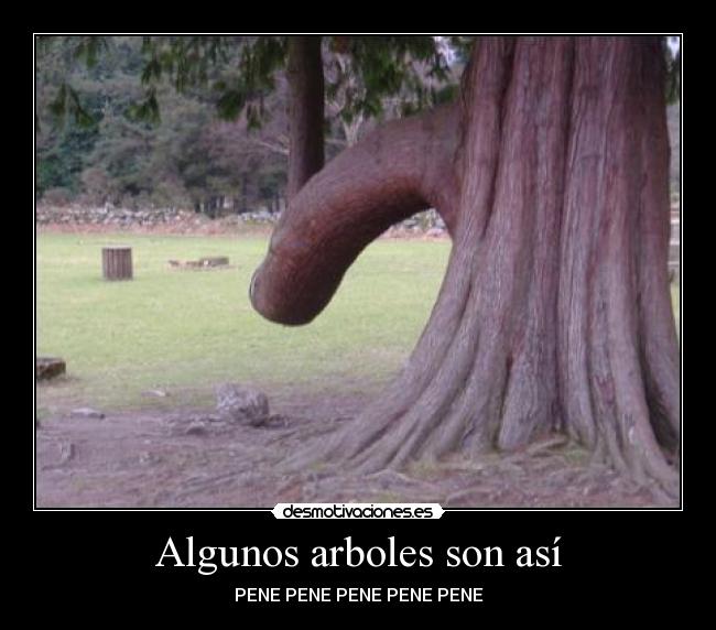 Algunos arboles son así - PENE PENE PENE PENE PENE
