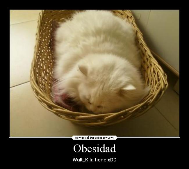 Obesidad -