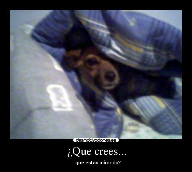 ¿Que crees... - ...que estás mirando?