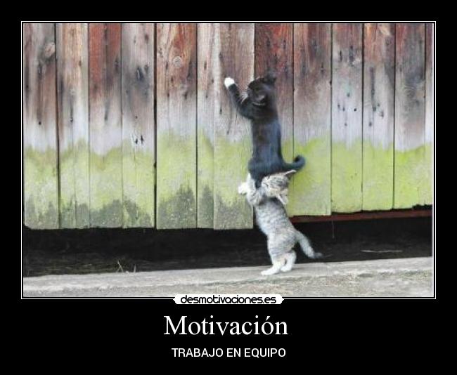 Motivación  - 