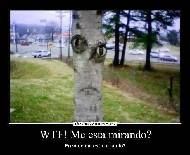 WTF! Me esta mirando? - En serio,me esta mirando?