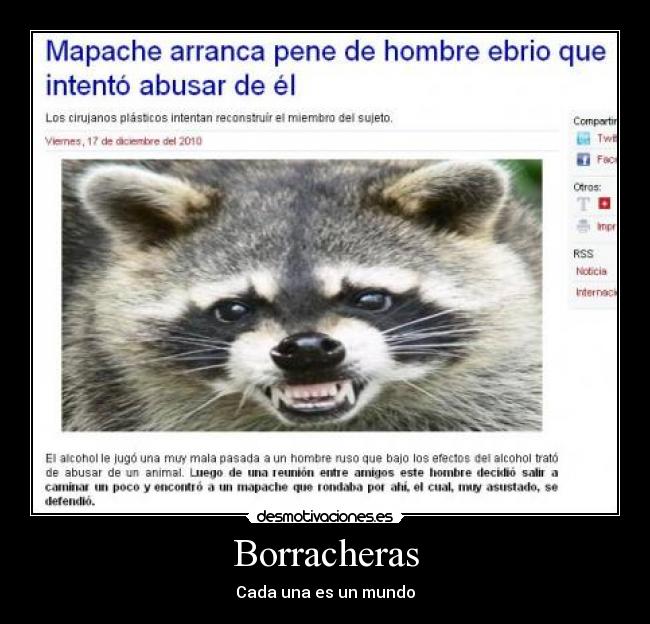 Borracheras -