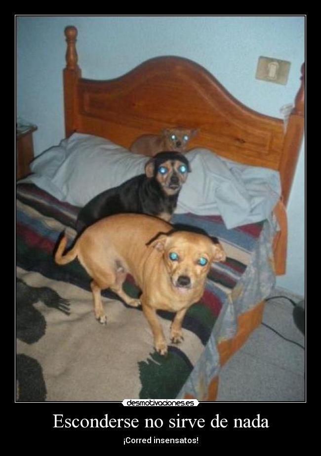 Esconderse no sirve de nada - ¡Corred insensatos!