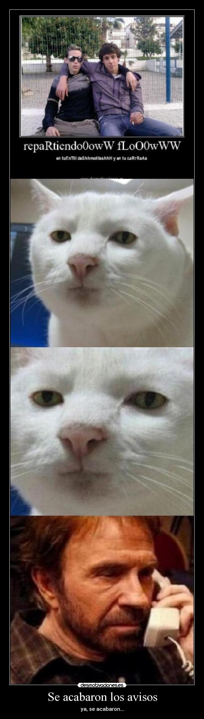 Se acabaron los avisos - ya, se acabaron...