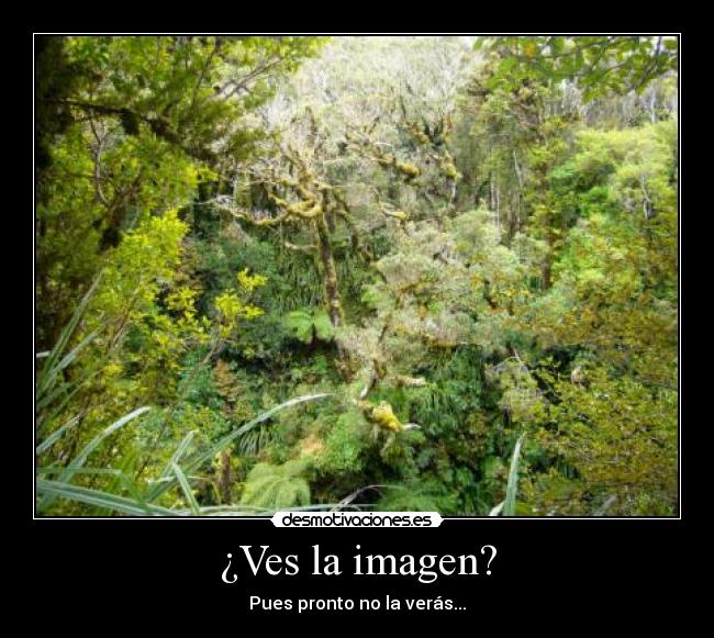 ¿Ves la imagen? - 