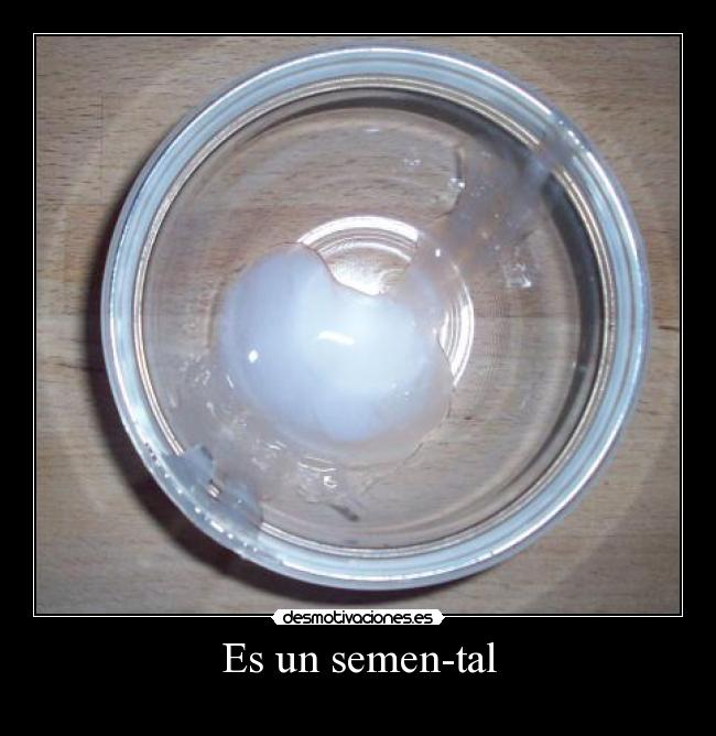 carteles semen semental desmotivaciones